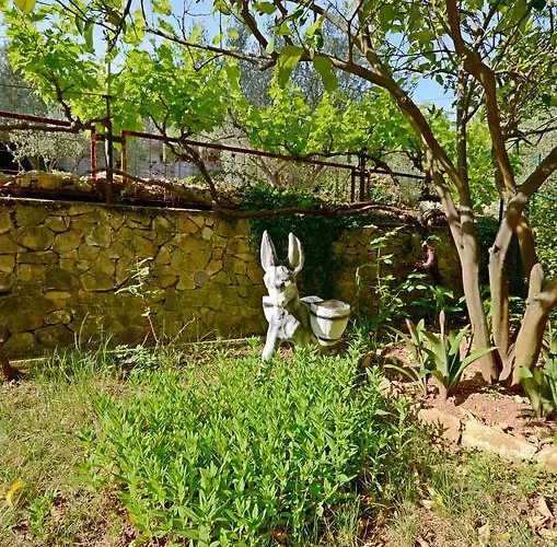 Steli Διαμέρισμα *